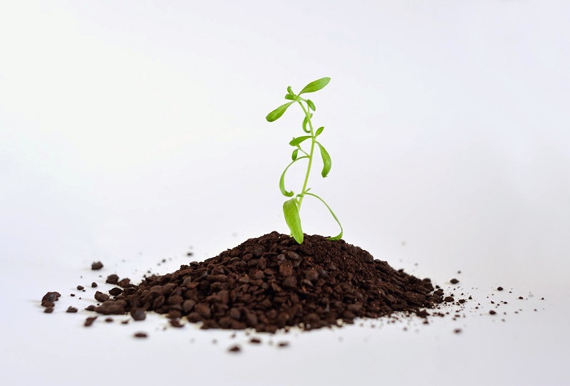 fertilizantes
