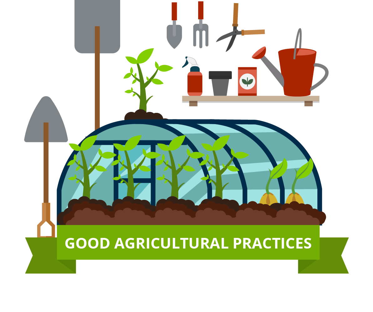 Good Agricultural Practices